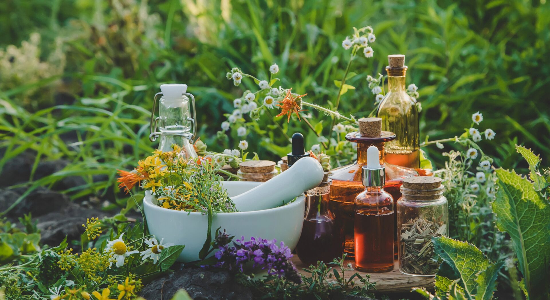 Naturopathe à Beauvais